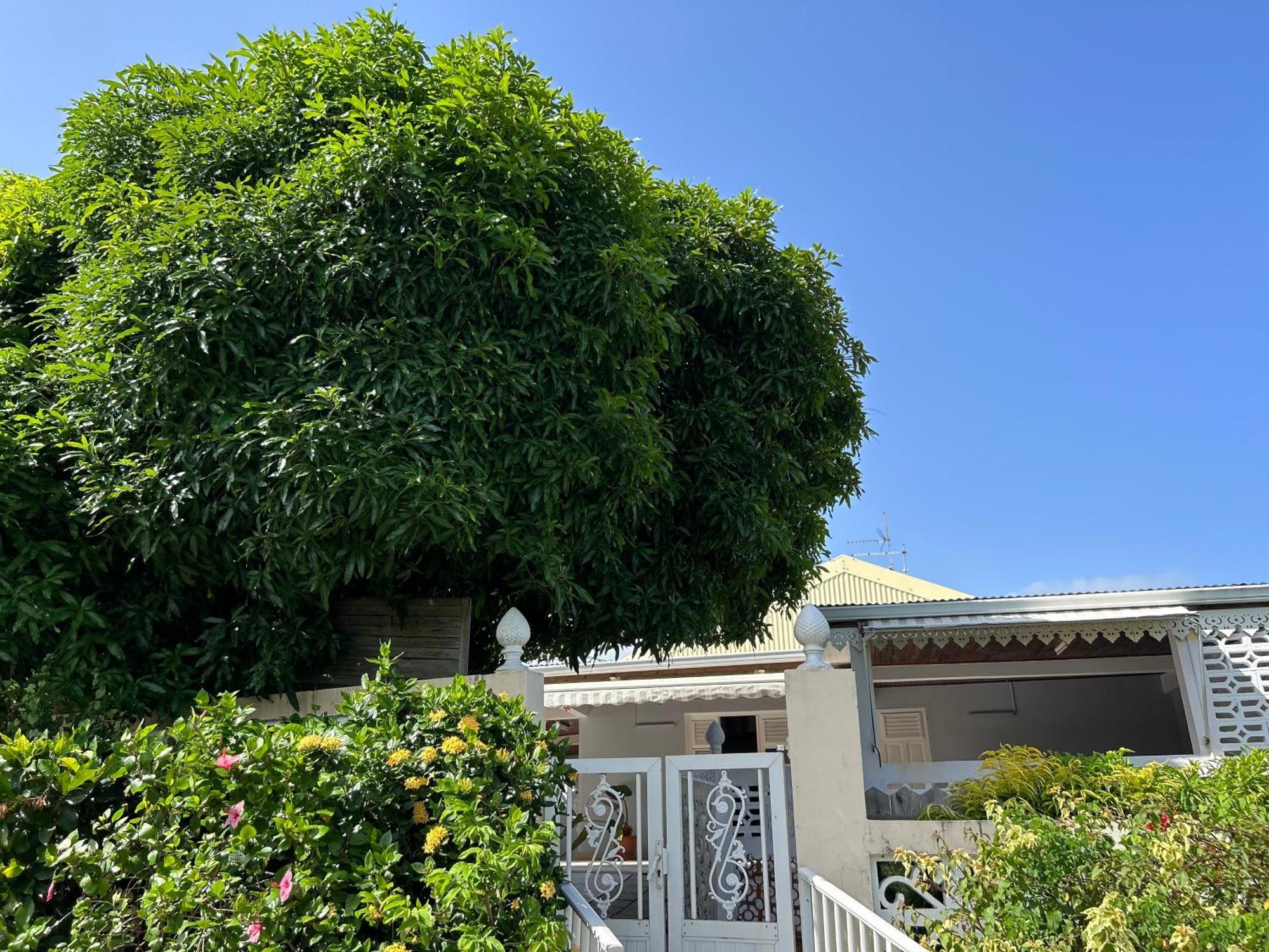 Villa à louer à Sainte-Anne en Martinique Esterno foto